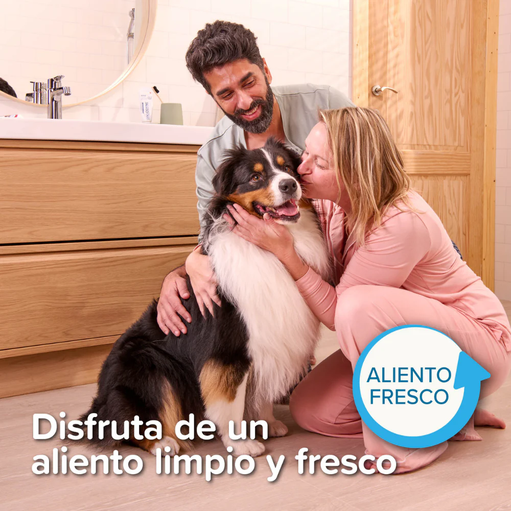 Beaphar Pack Cepillo Dental y Pasta Dentífrica 100 g para Perros y Gatos - Image 9