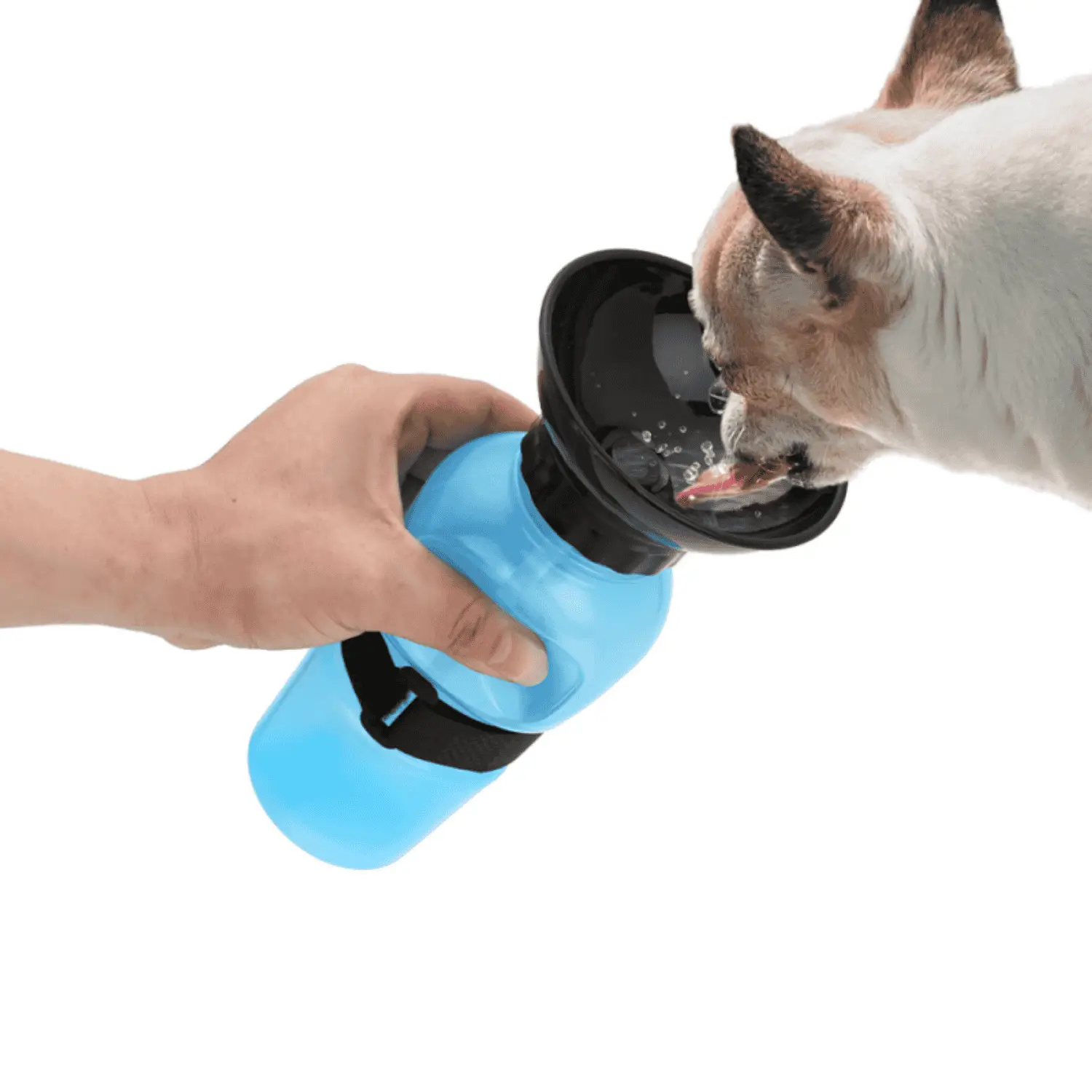 Bebedero Perro Wouapy con Bol Integrado 500 ml - Image 3