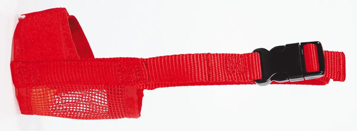 Bozal Nylon Rojo - Image 9