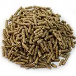 Caballos Premium Winner 25 kg - Image 2