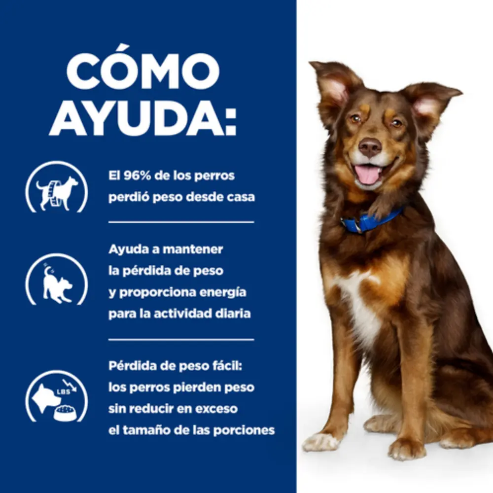 Hill'S Metabolic (Pérdida y Mantenimiento de Peso) Alimento para Perros - Image 3