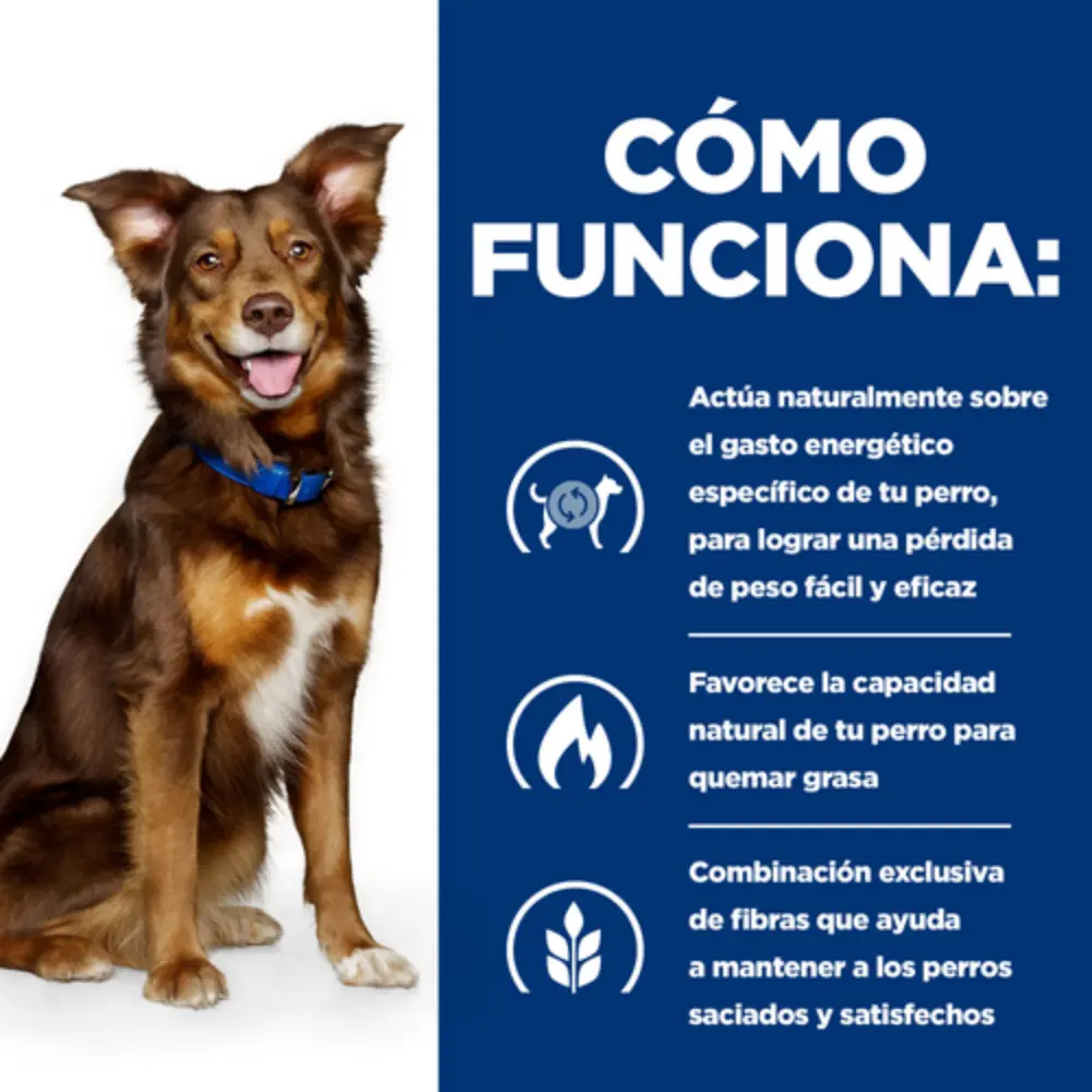 Hill'S Metabolic (Pérdida y Mantenimiento de Peso) Alimento para Perros - Image 4