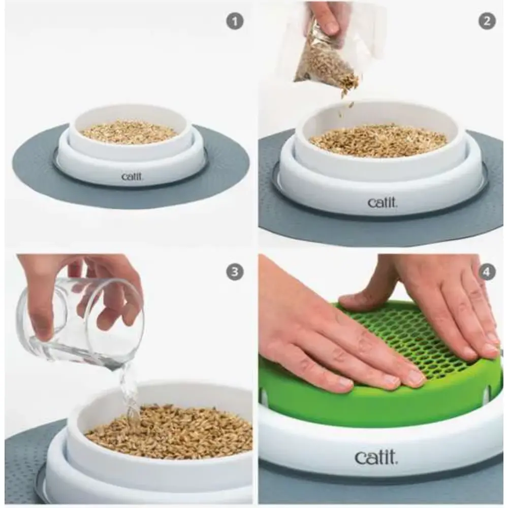 Catit Senses 2.0 Cat Grass Kit 3Pc Recarga - Image 3
