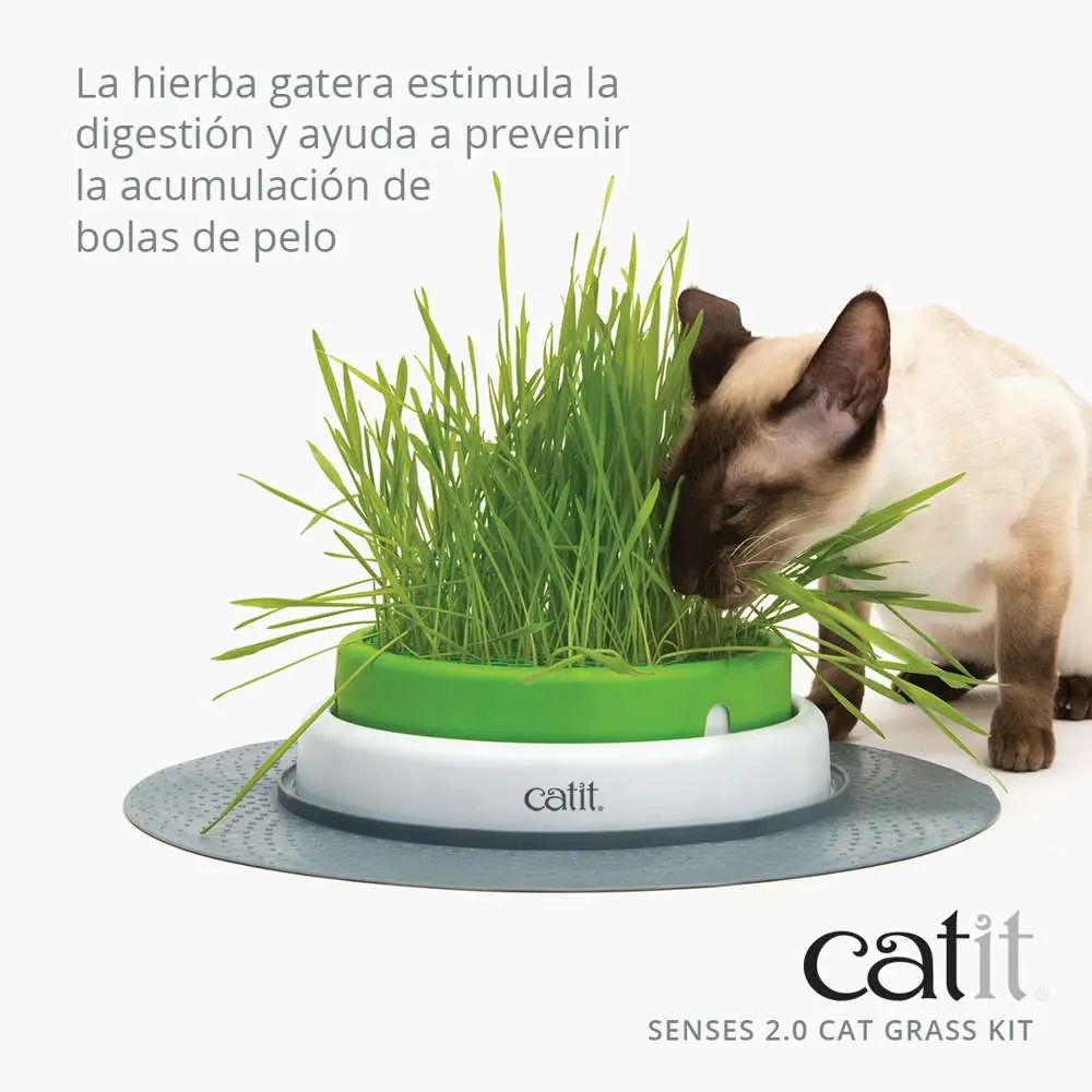 Catit Senses 2.0 Cat Grass Kit 3Pc Recarga - Image 5
