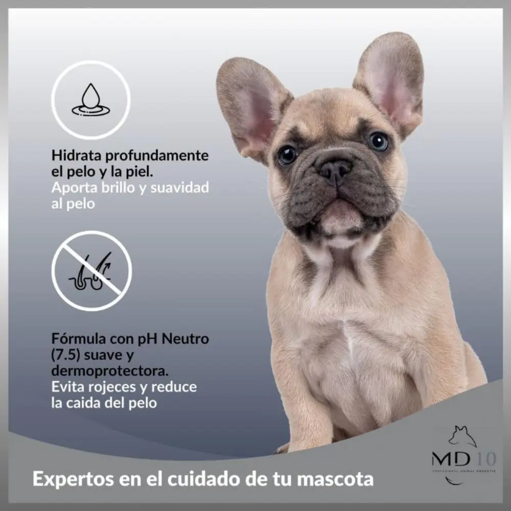 Champú Bulldog Frances Md10 - Image 3