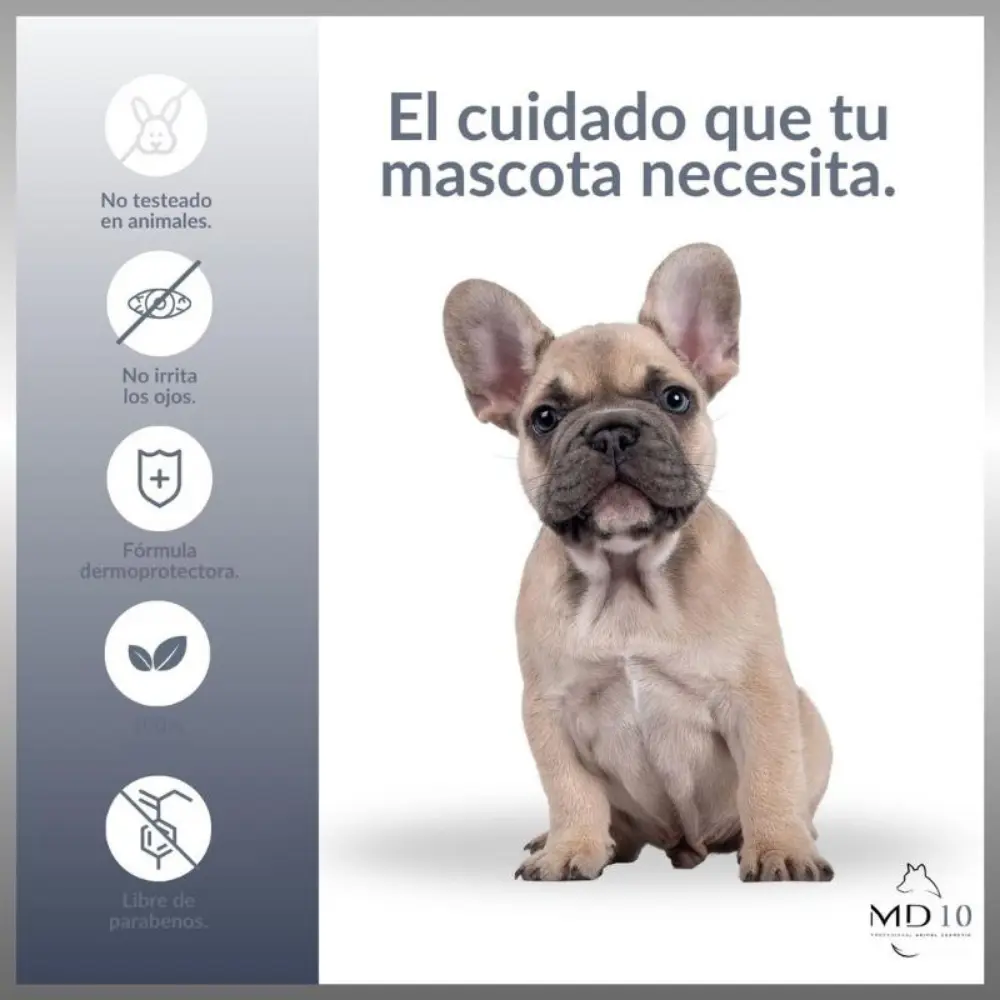 Champú Bulldog Frances Md10 - Image 4
