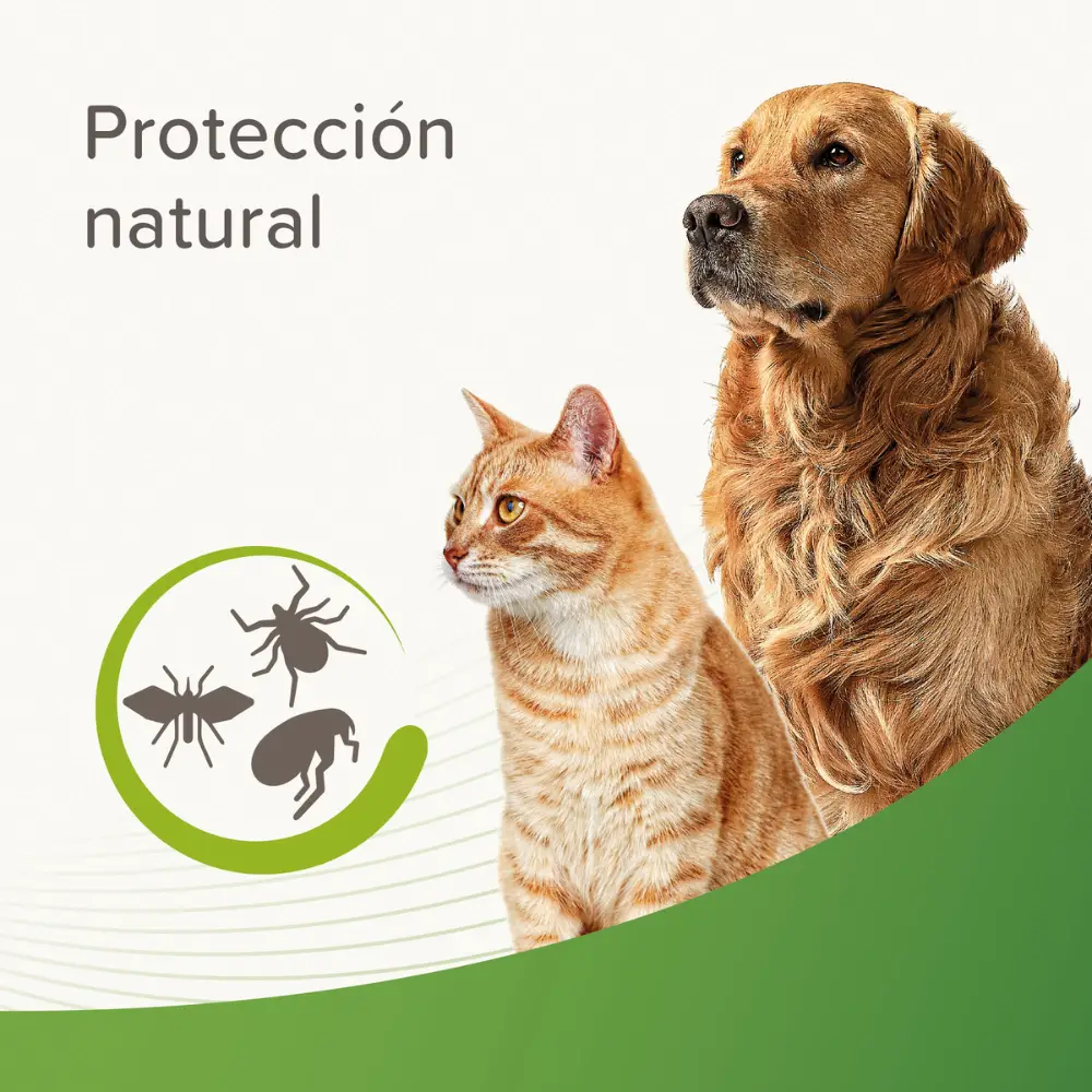 Champú Repelente para Perros y Gatos 250 ml - Image 2
