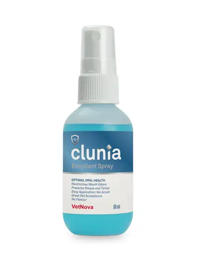Clunia Easydent Spray 60 ml