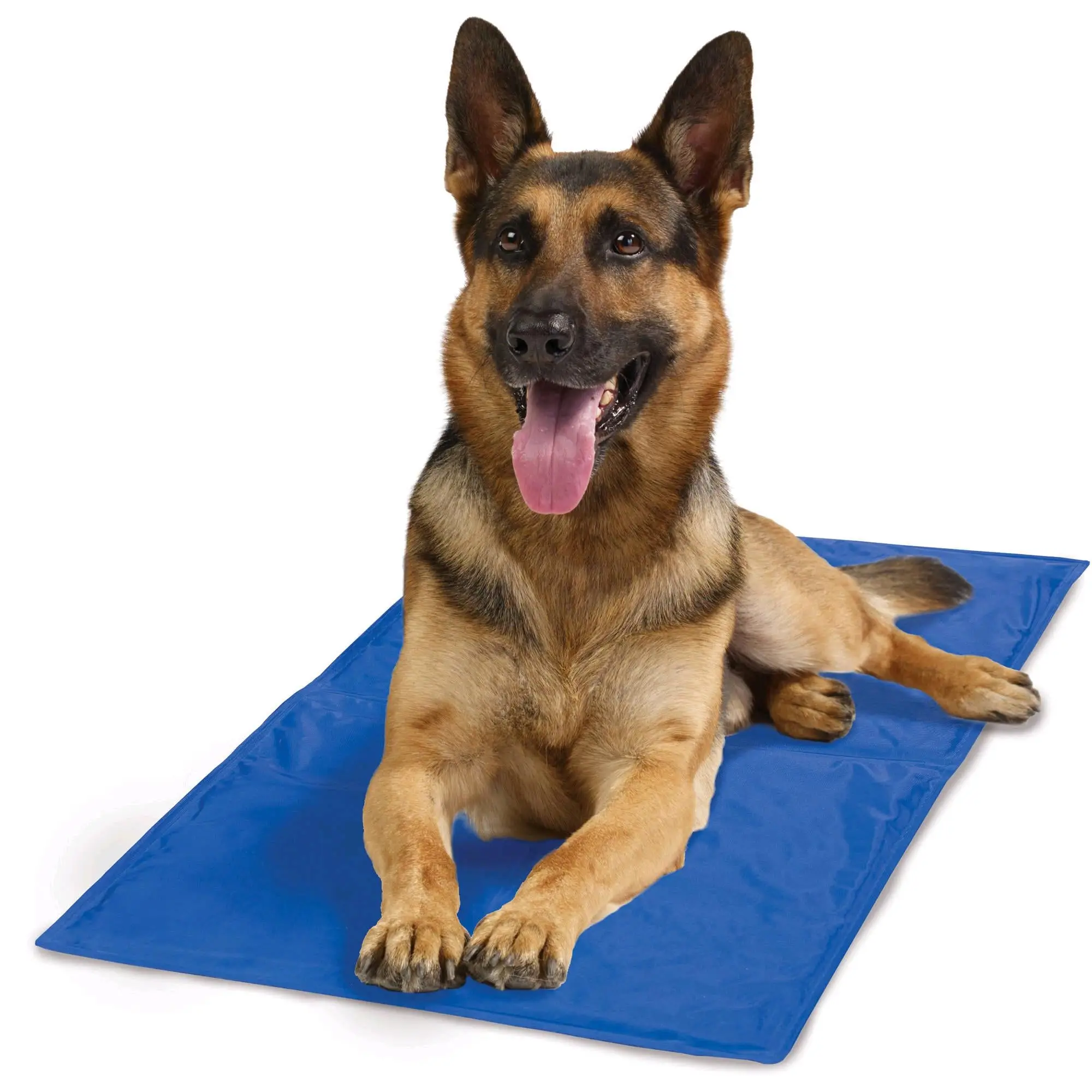 Colchoneta Refrigerante para Perros | Manta Refrescante Fría Cooling Pad Fresk - Image 4