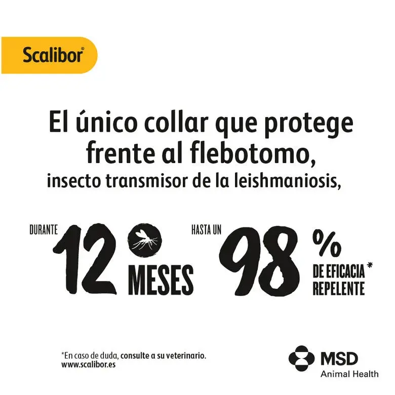 Scalibor Collar Antiparasitario para Perros | 12 Meses de Protección | Mosquitos, Pulgas y Garrapatas - Image 5