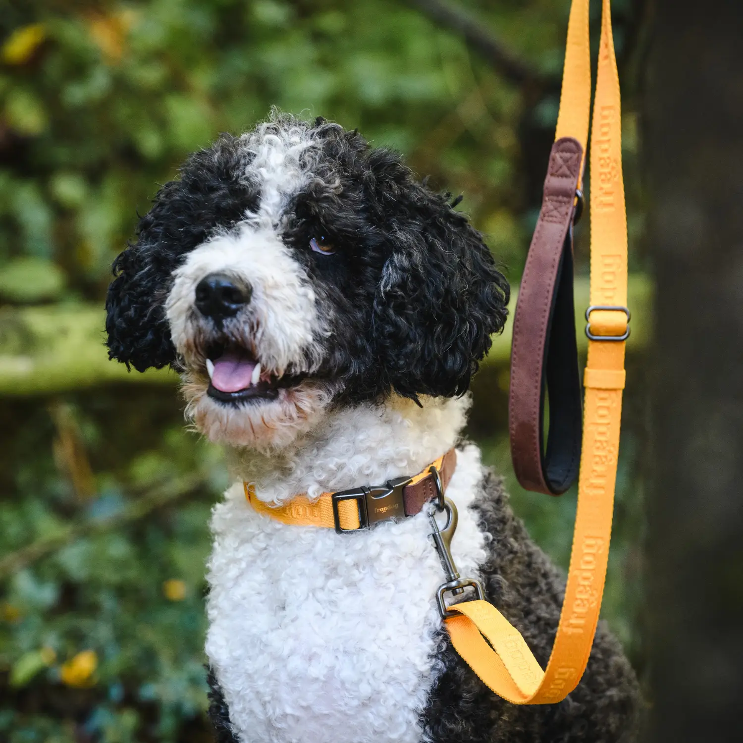 Collar Linum Freedog - Image 3