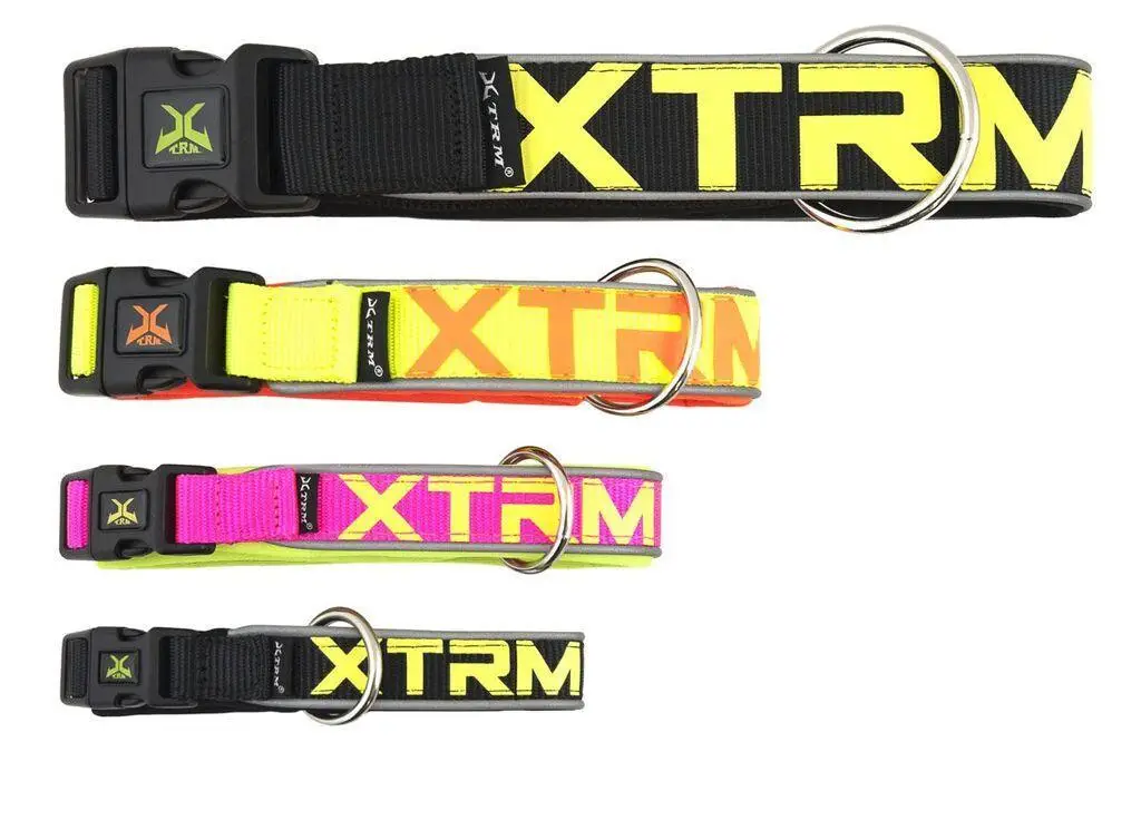 Collar X-Trm Neon Flash Azul 38Mm X 50-70 cm