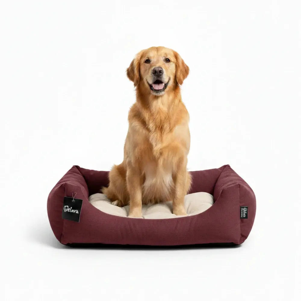 Cuna para Perros Gulliver Welova - Image 4