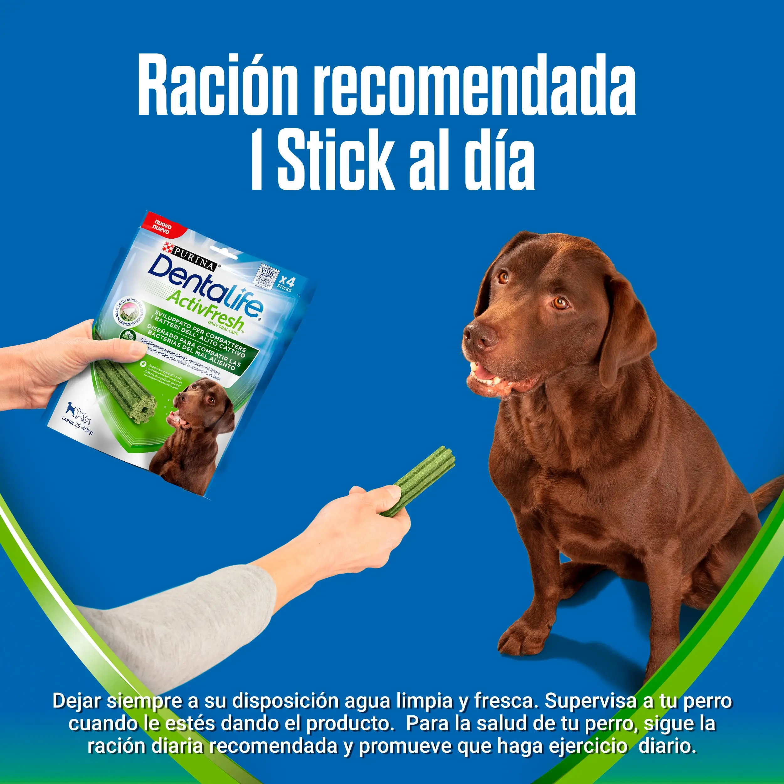 Dentalife Activfresh Dog Large 4 Sticks - Image 5