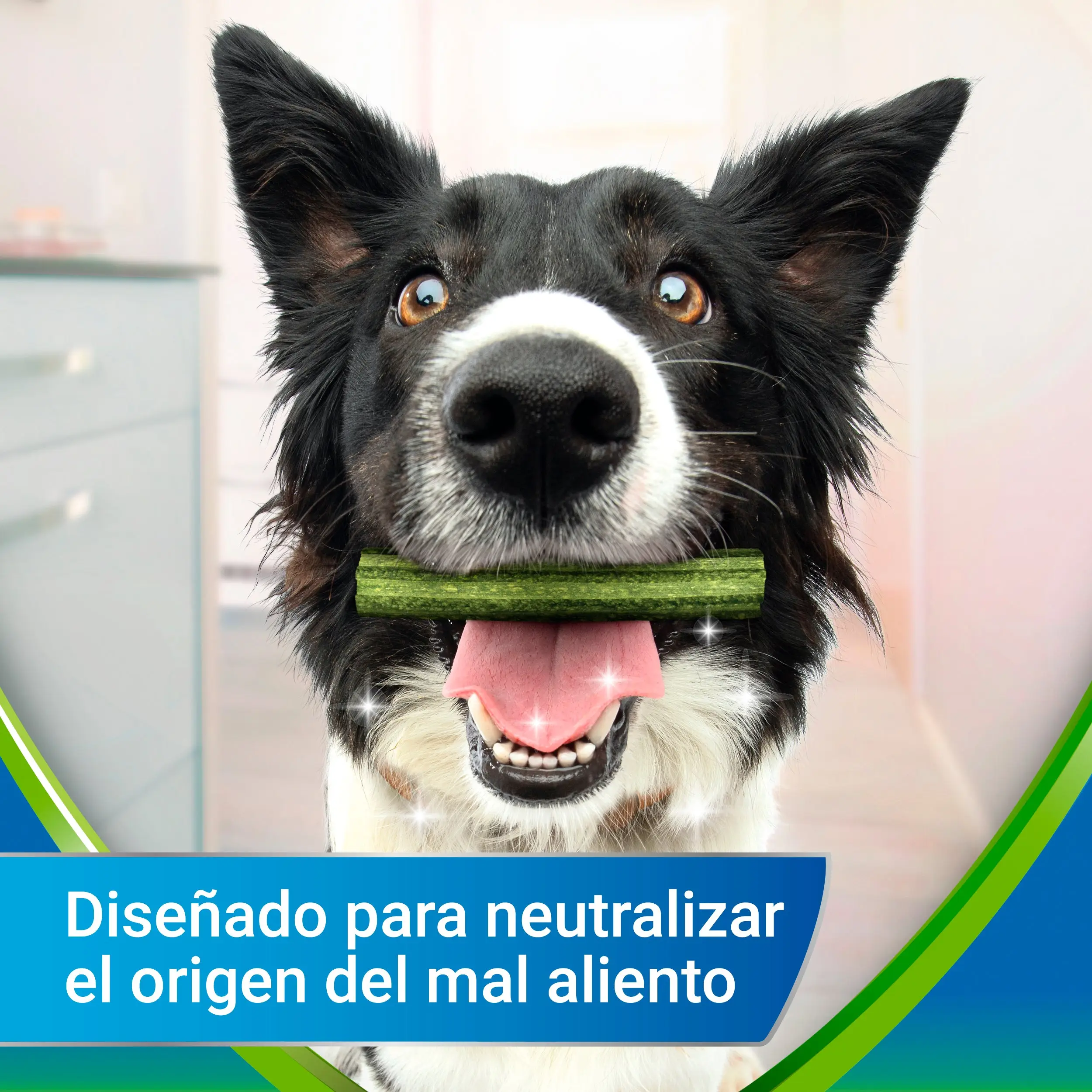 Dentalife Activfresh Dog Large 4 Sticks - Image 6
