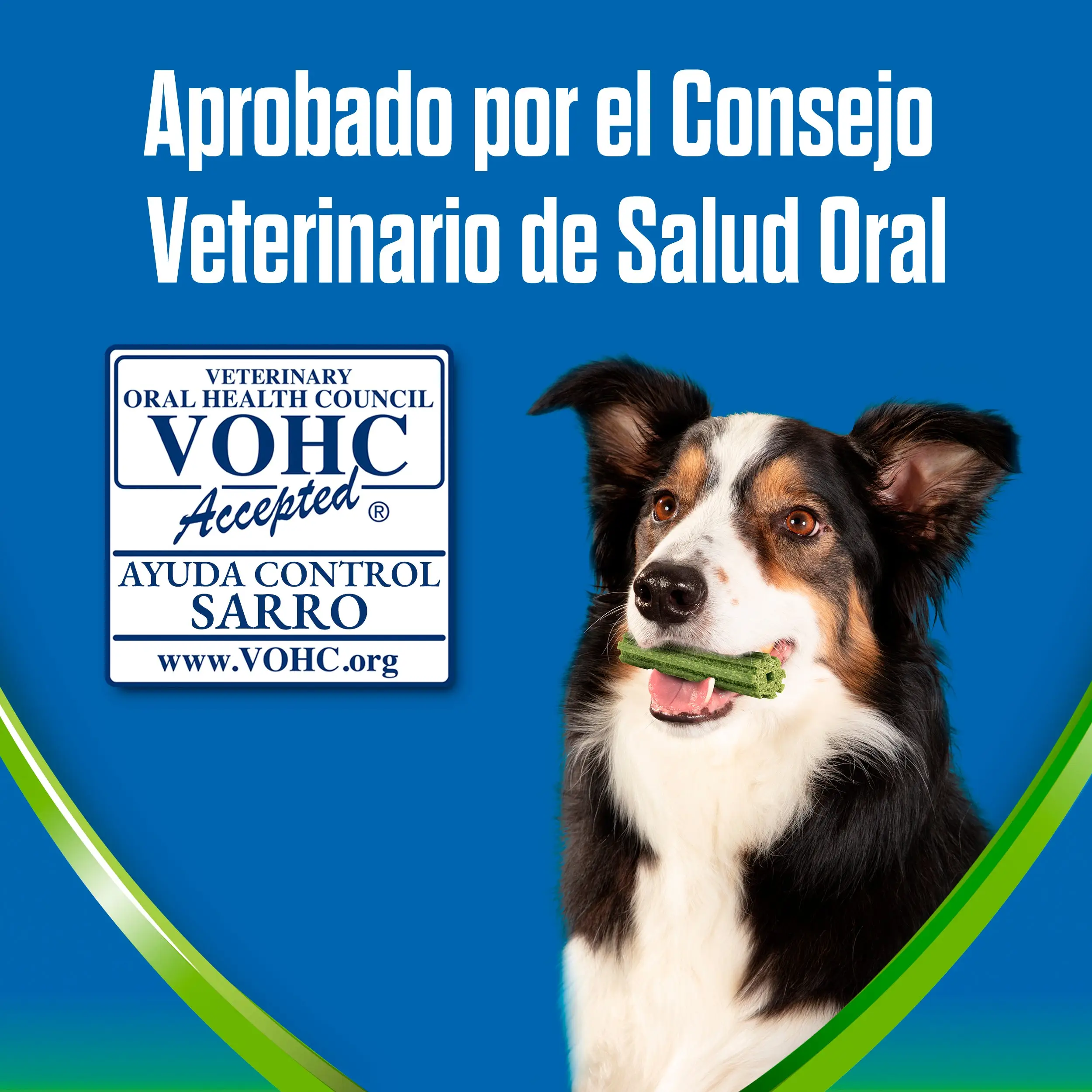 Dentalife Activfresh Dog Small 7 Sticks - Image 8