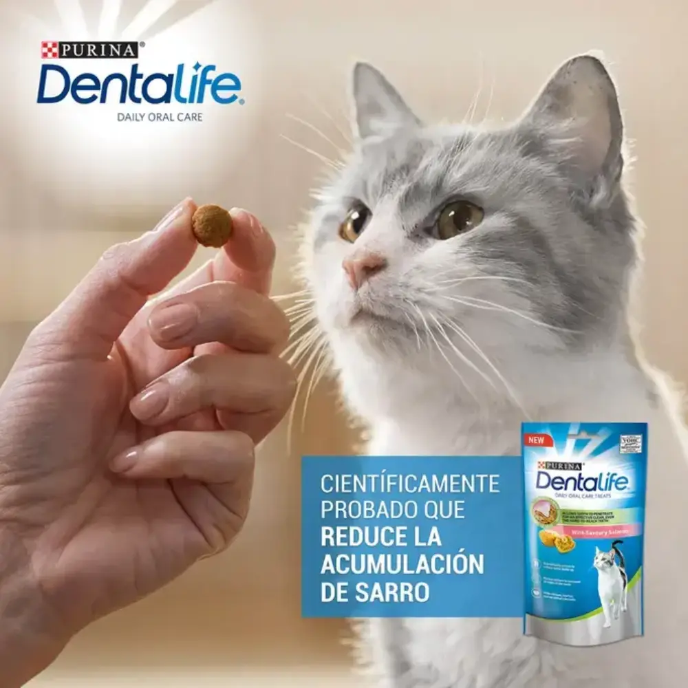 Dentalife Cat Salmón 40 g - Image 7