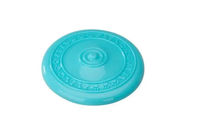 Disco Volador (Frisbee) - Image 3