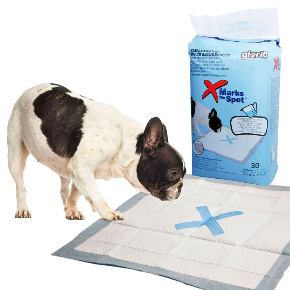 Empapador Super Absorbentes 56X56 cm 30 uds Gloria