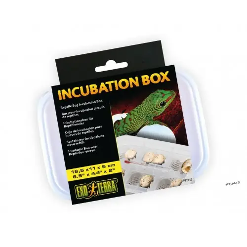 Exo Terra Box de Incubación - Image 2