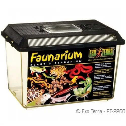 Exo Terra Faunarium - Med.