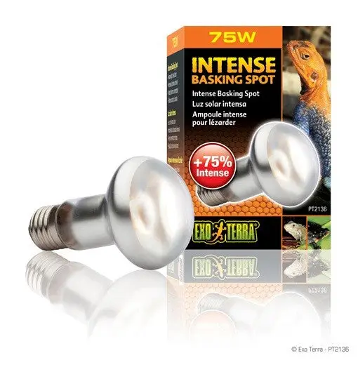 Exo Terra Sun Glo Foco Directo 75 W