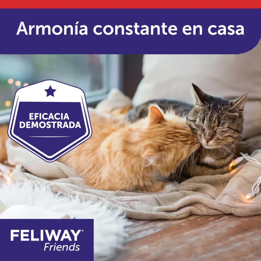 Feliway Friends Difusor+Recambio 48 ml - Image 6