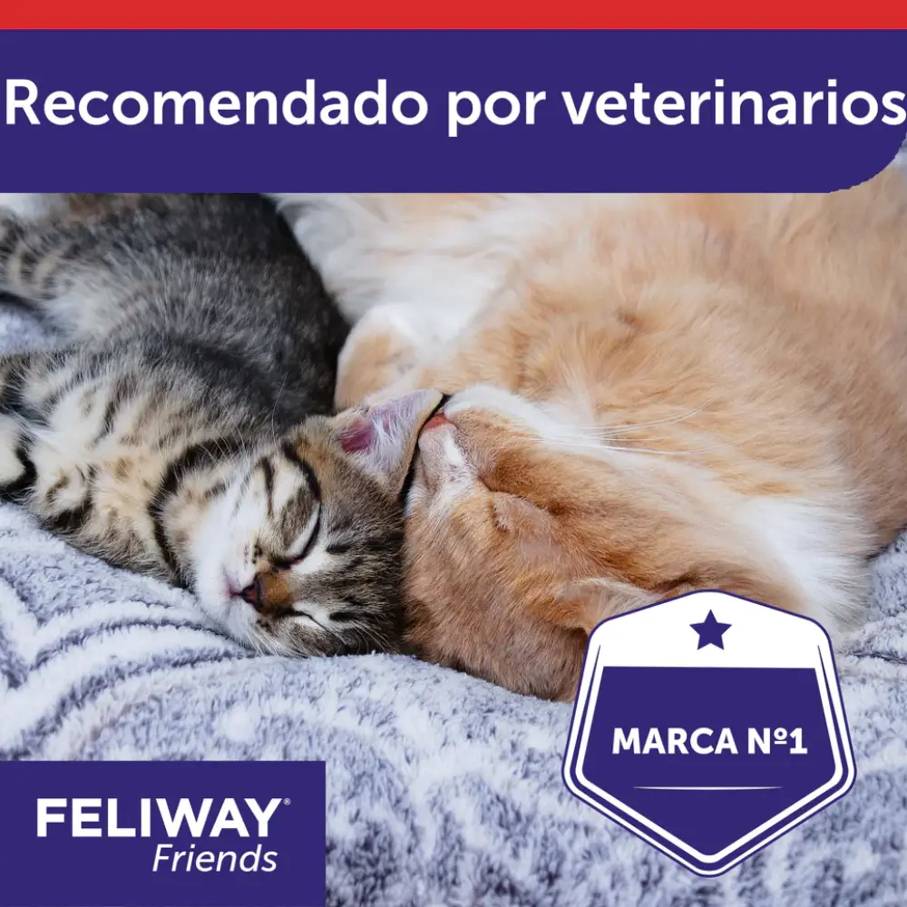 Feliway Friends Difusor+Recambio 48 ml - Image 7