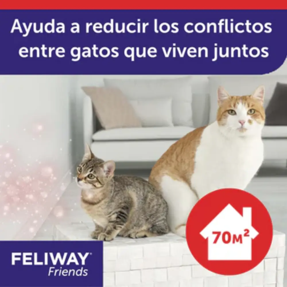 Feliway Friends Recambio 48 ml - Image 2