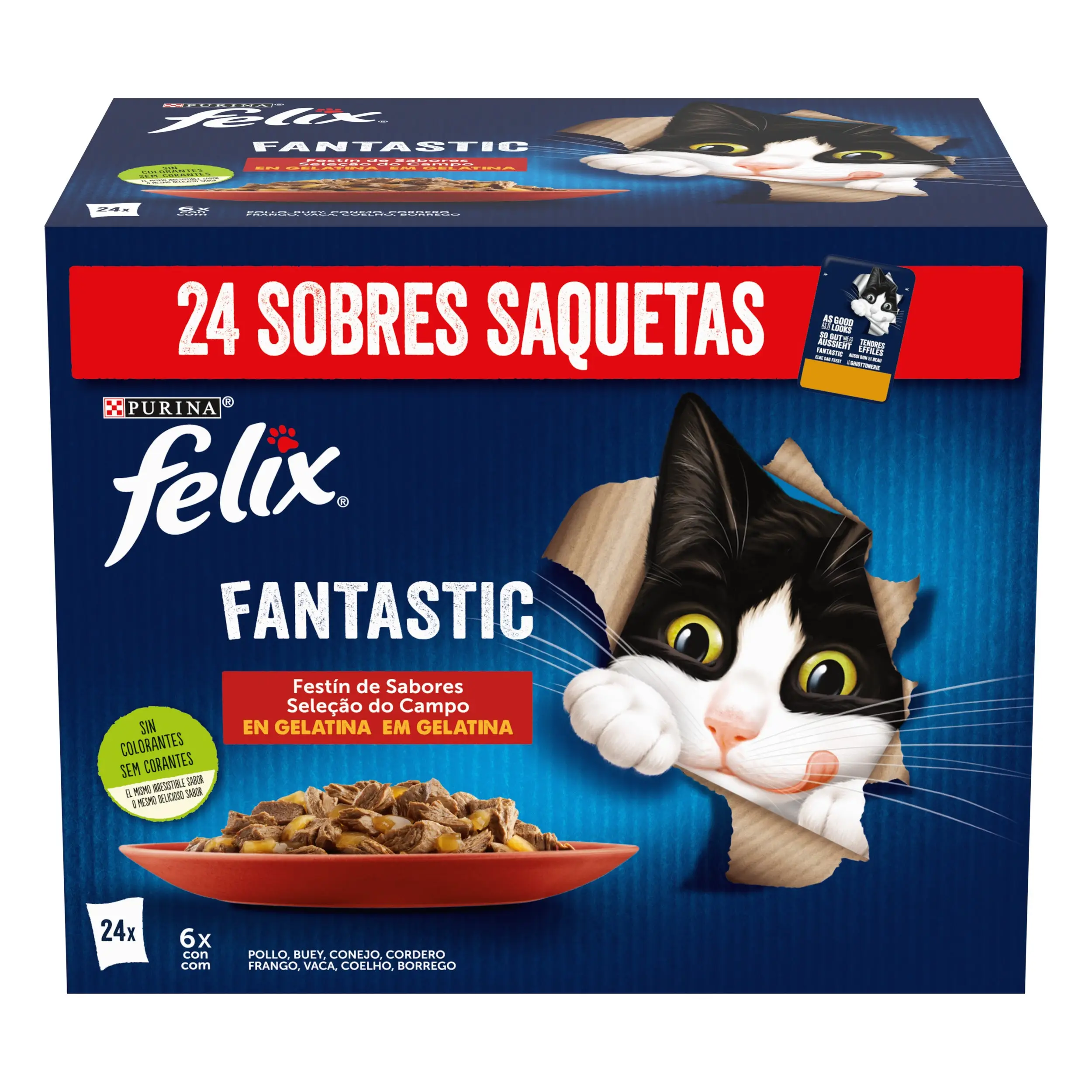 Felix Fantastic Countryside Pack 24x85 g
