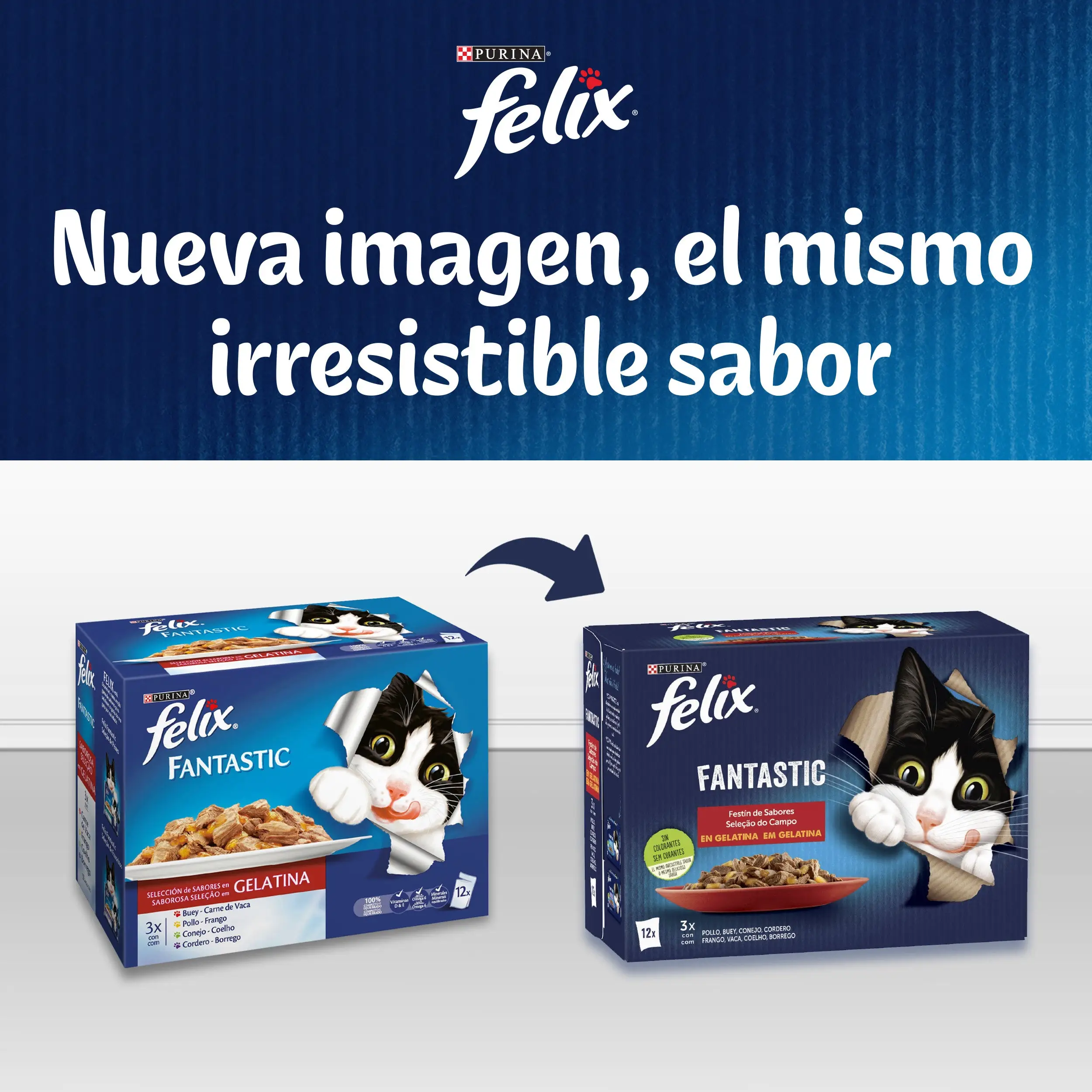 Felix Fantastic Duo Carnes Pack 4X85 g - Image 2