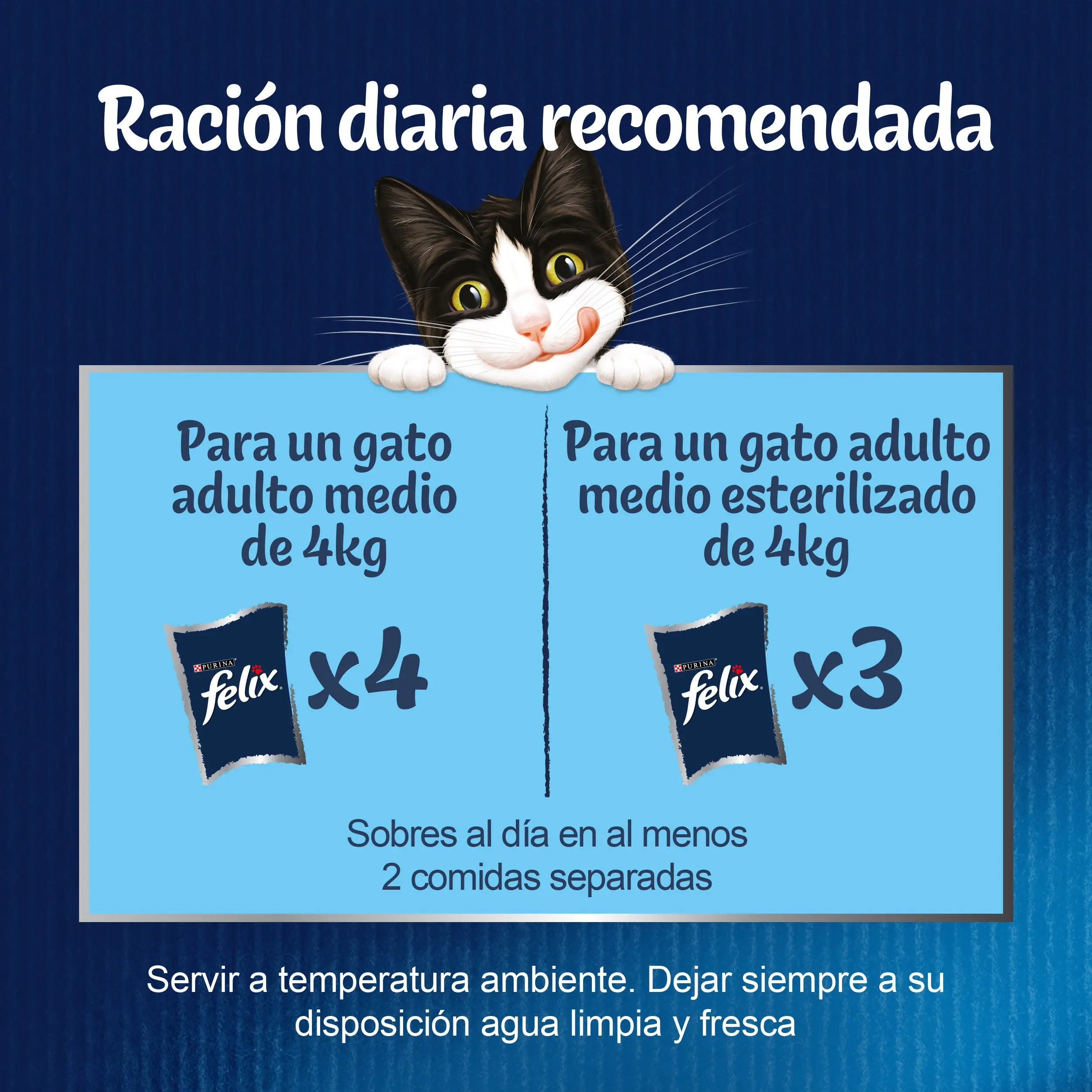 Felix Fantastic Surtido Gelatina Pack 4X85 g - Image 3