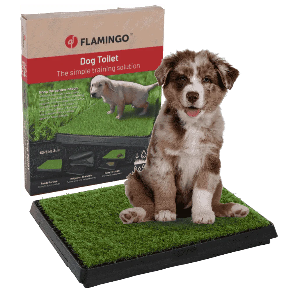 Flamingo Bandeja Arenero de Hierba Pelou para Perros con Soporte Incluido 63x51x6,3cm