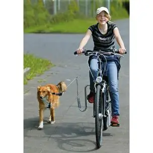 Flamingo Enganche Para Bicicleta Curvo Doggy Guide - Image 3