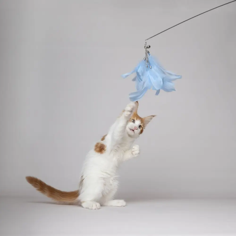 Flamingo Nimmy Vara Juguete para Gatos 1 ud - Image 3