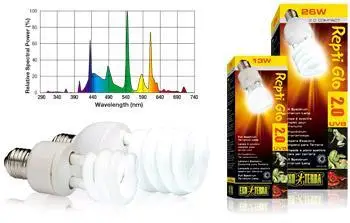Fluorescente Compacto Repti Glo Exo Terra - Image 10
