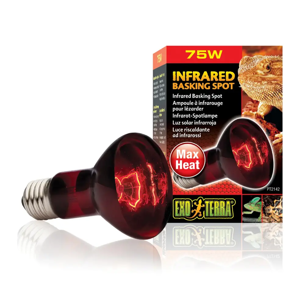 Foco Luz Infrarojo Reptiles Exo Terra - Image 3