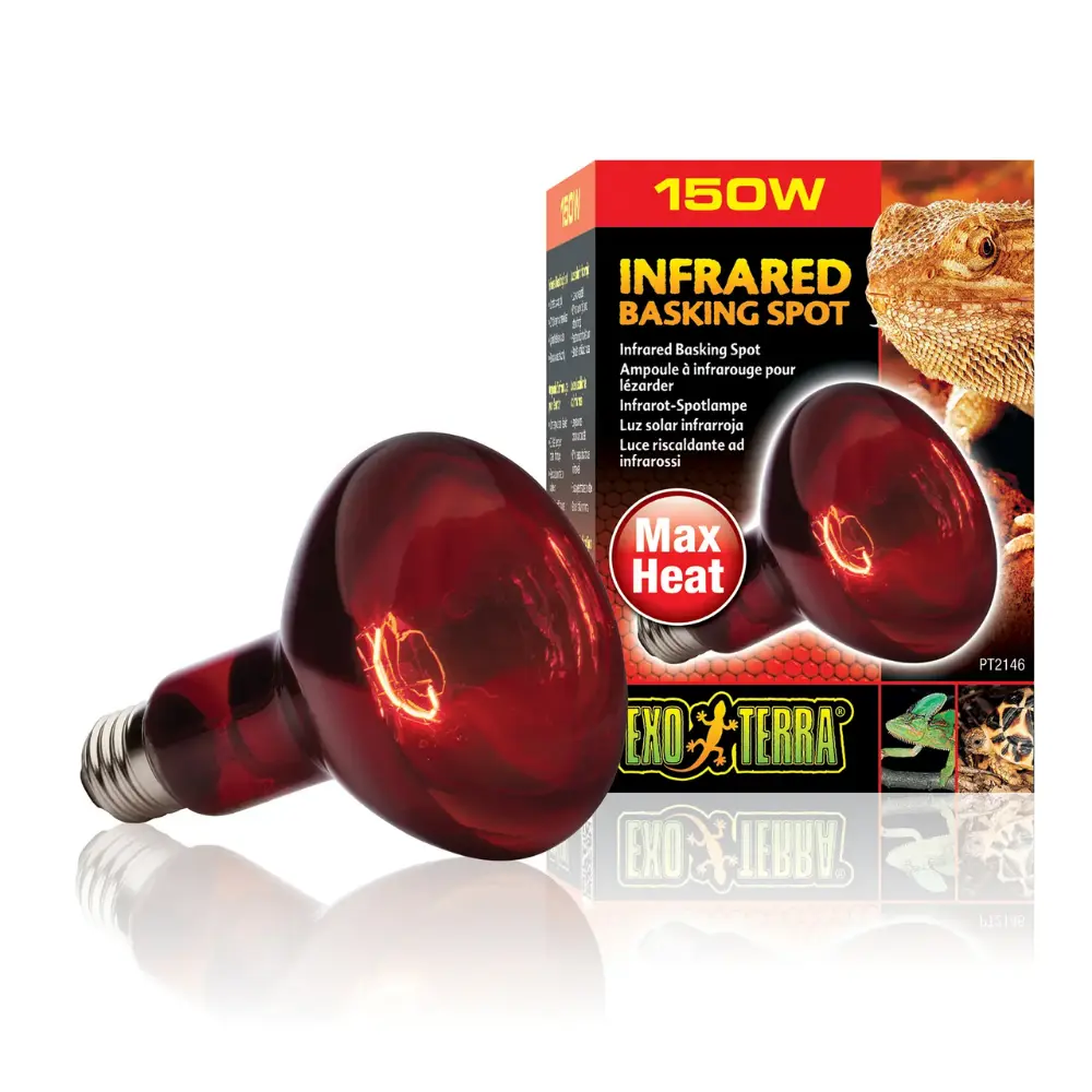 Foco Luz Infrarojo Reptiles Exo Terra - Image 4