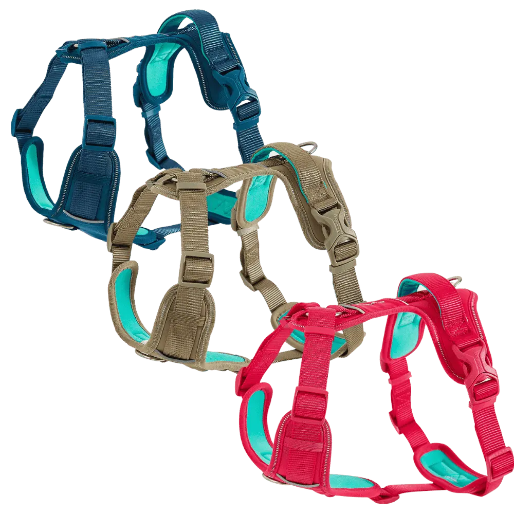 Freedog Arnés Limitless para Perros
