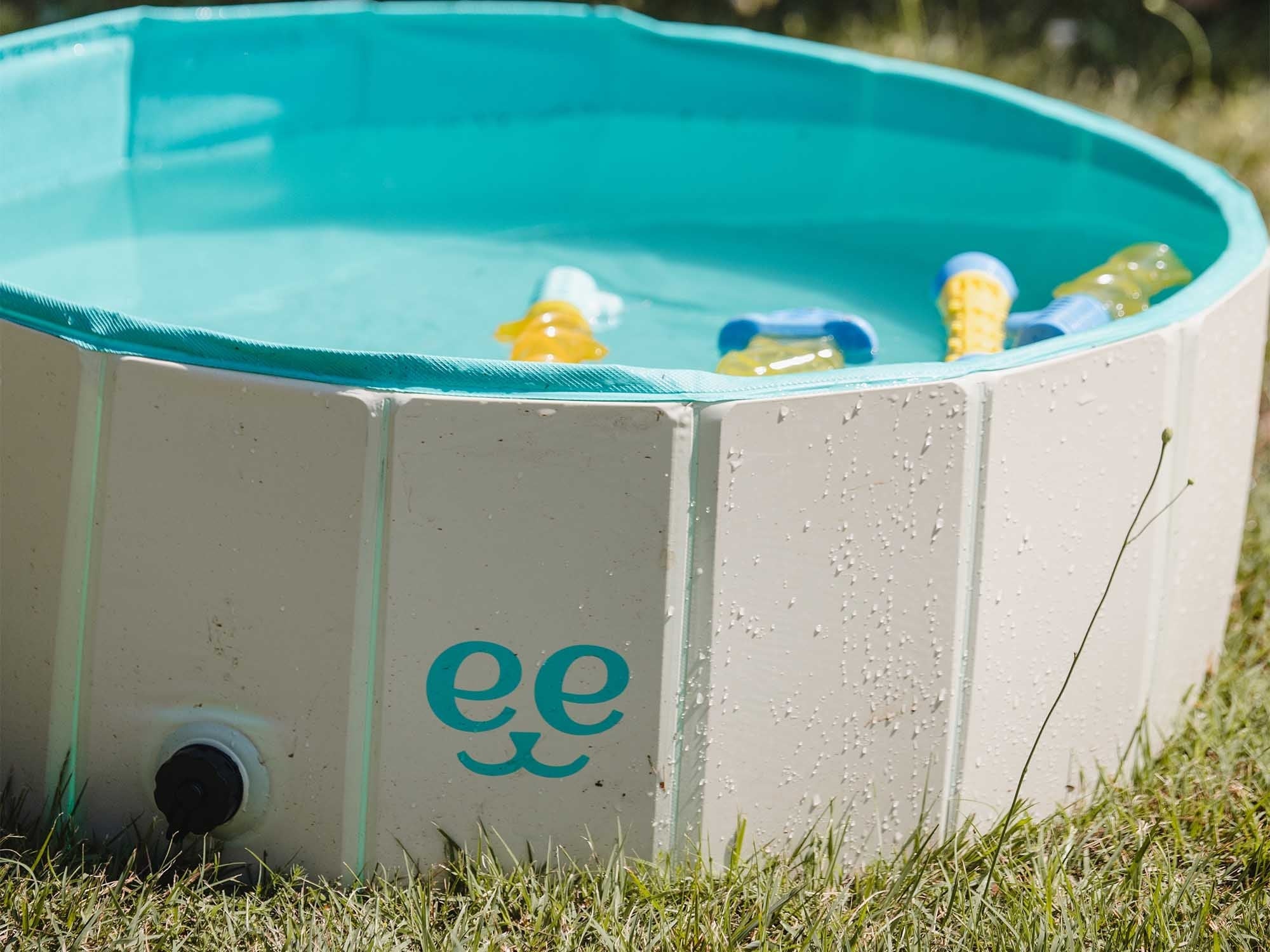 Freedog Piscina Antideslizante para Perros - Image 3