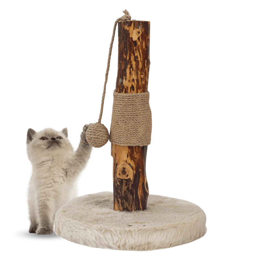 Freedog Rascador ZenPear Pole 30x30x43cm con Tronco Natural para Gatos