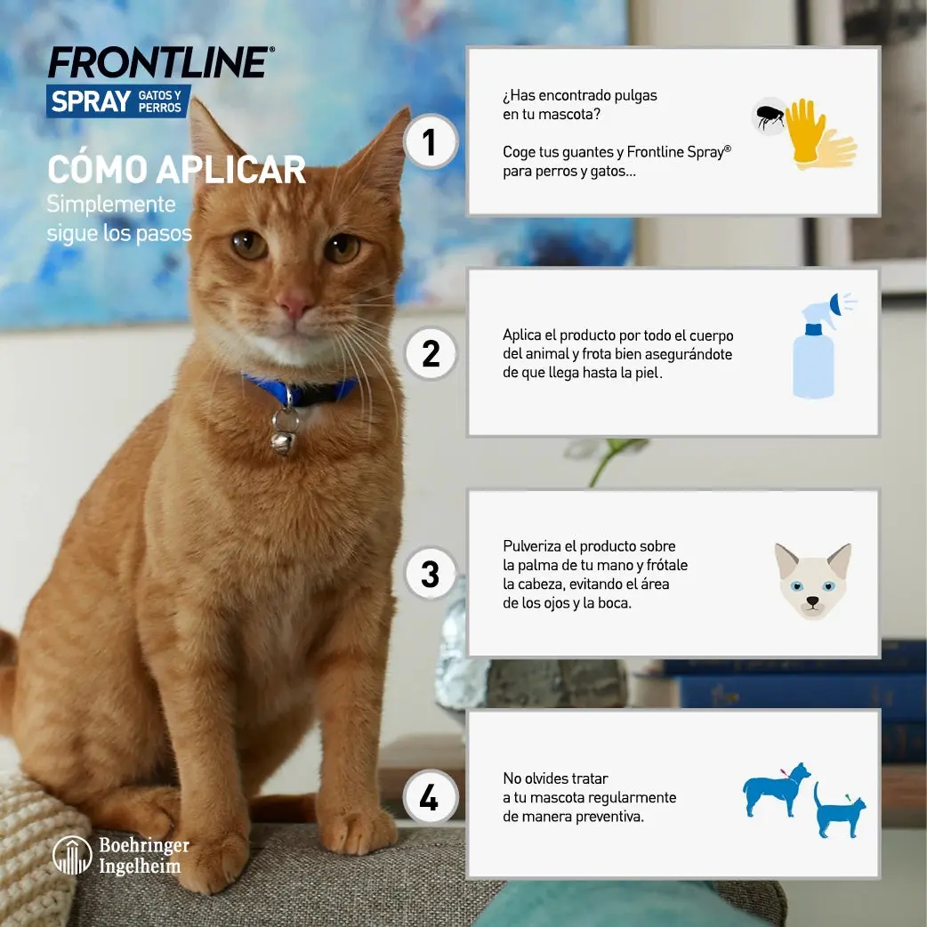 Frontline Spray Antiparasitario para Perros y Gatos | Elimina Pulgas, Garrapatas y Piojos - Image 2