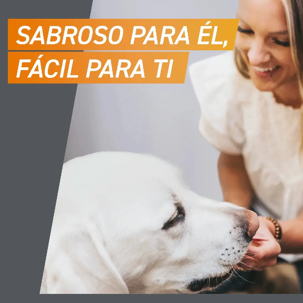 Frontpro Comprimidos Masticables Antiparasitarios para Perros 3 uds. - Image 10