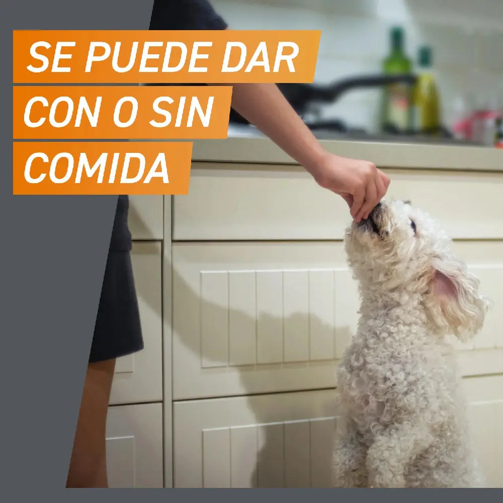 Frontpro Comprimidos Masticables Antiparasitarios para Perros 3 uds. - Image 11