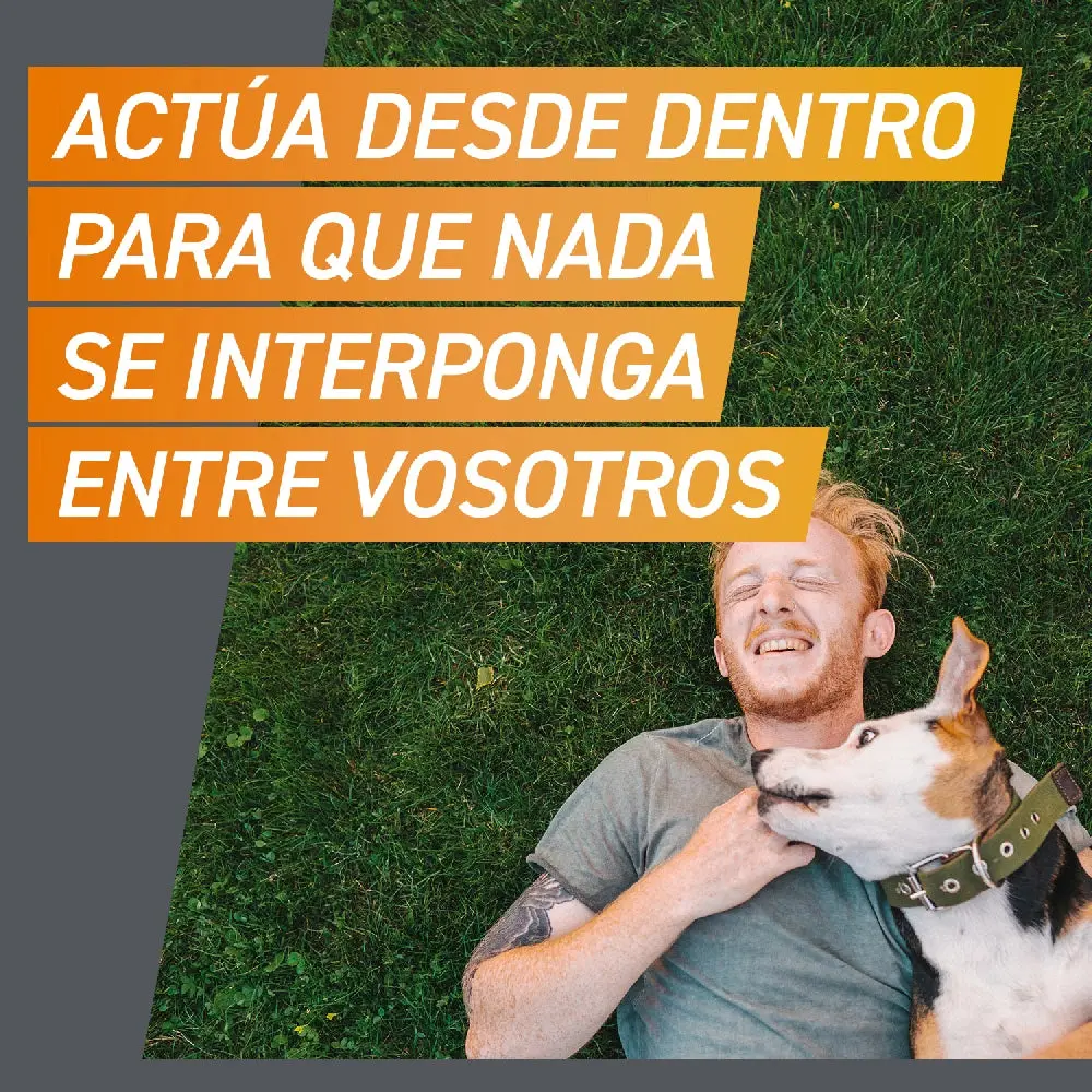 Frontpro Comprimidos Masticables Antiparasitarios para Perros 3 uds. - Image 5