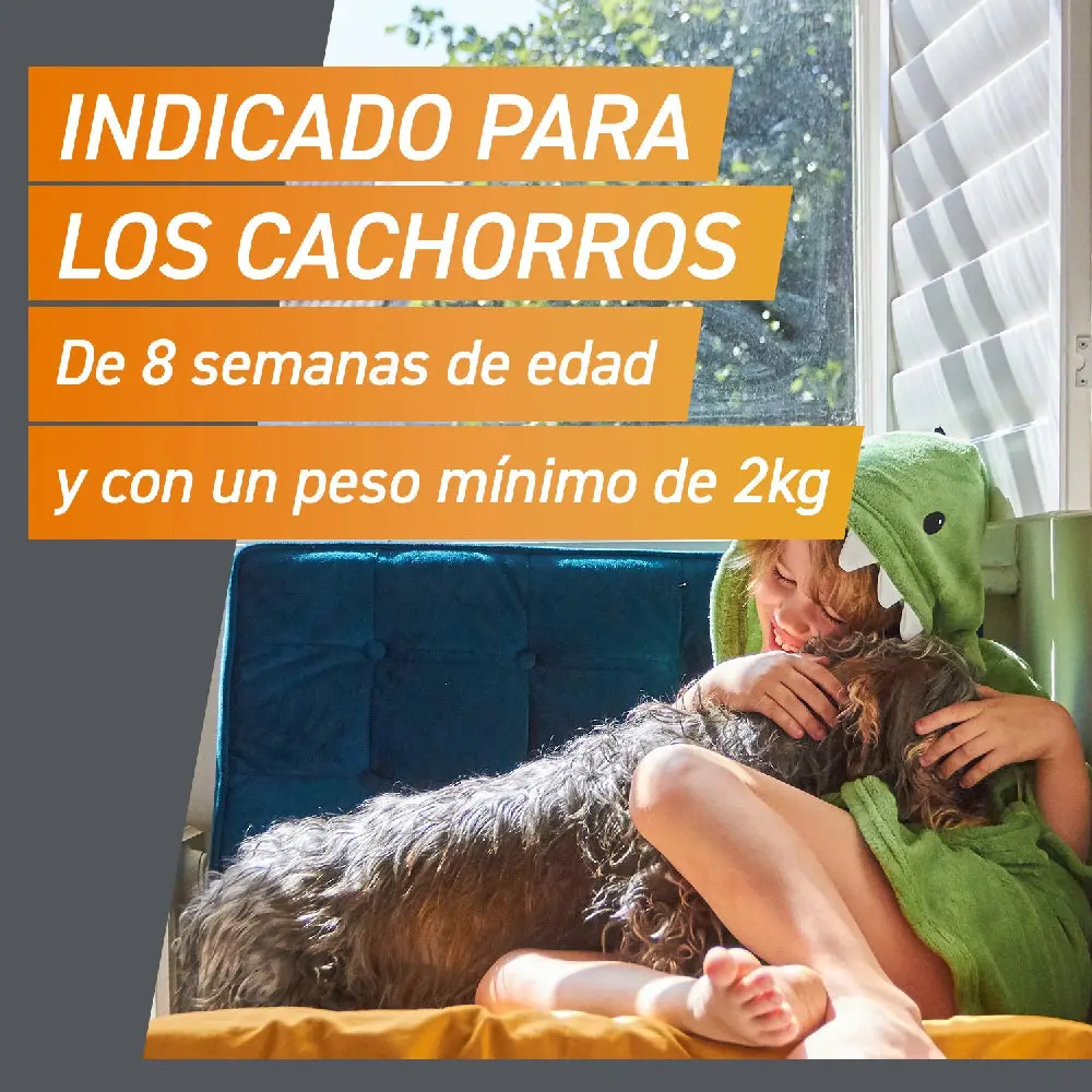 Frontpro Comprimidos Masticables Antiparasitarios para Perros 3 uds. - Image 9