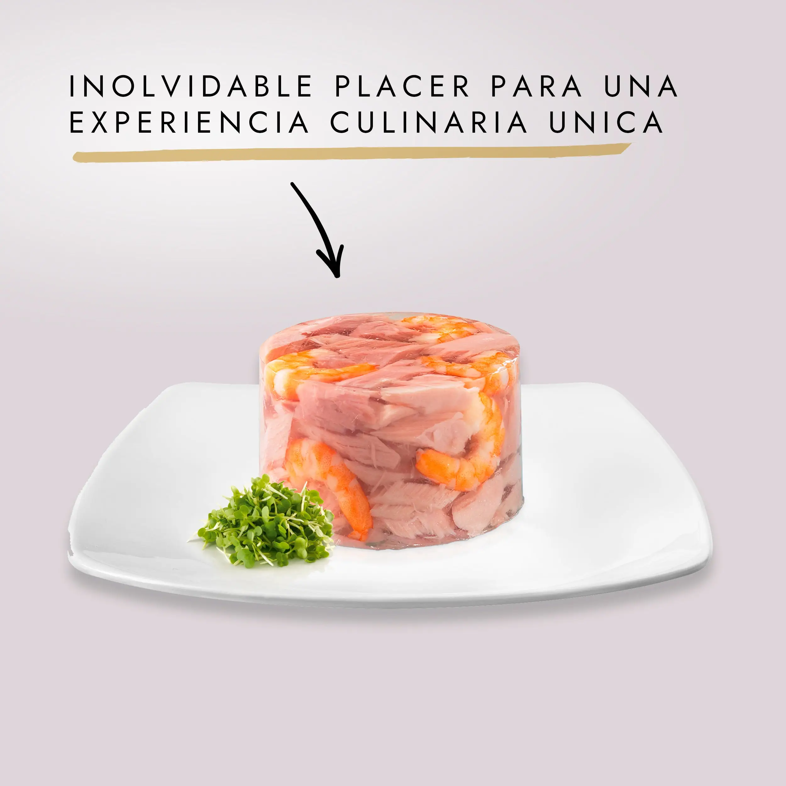 Gourmet Diamant Pollo 85 g - Image 2