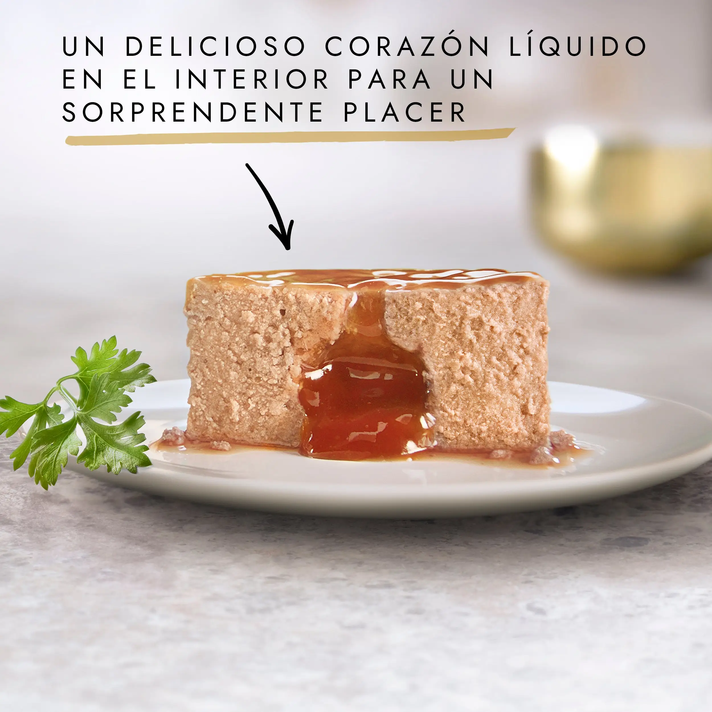 Gourmet Gold Fondant Pollo, Buey, Atún y Salmón Pack 12x85 g - Image 2