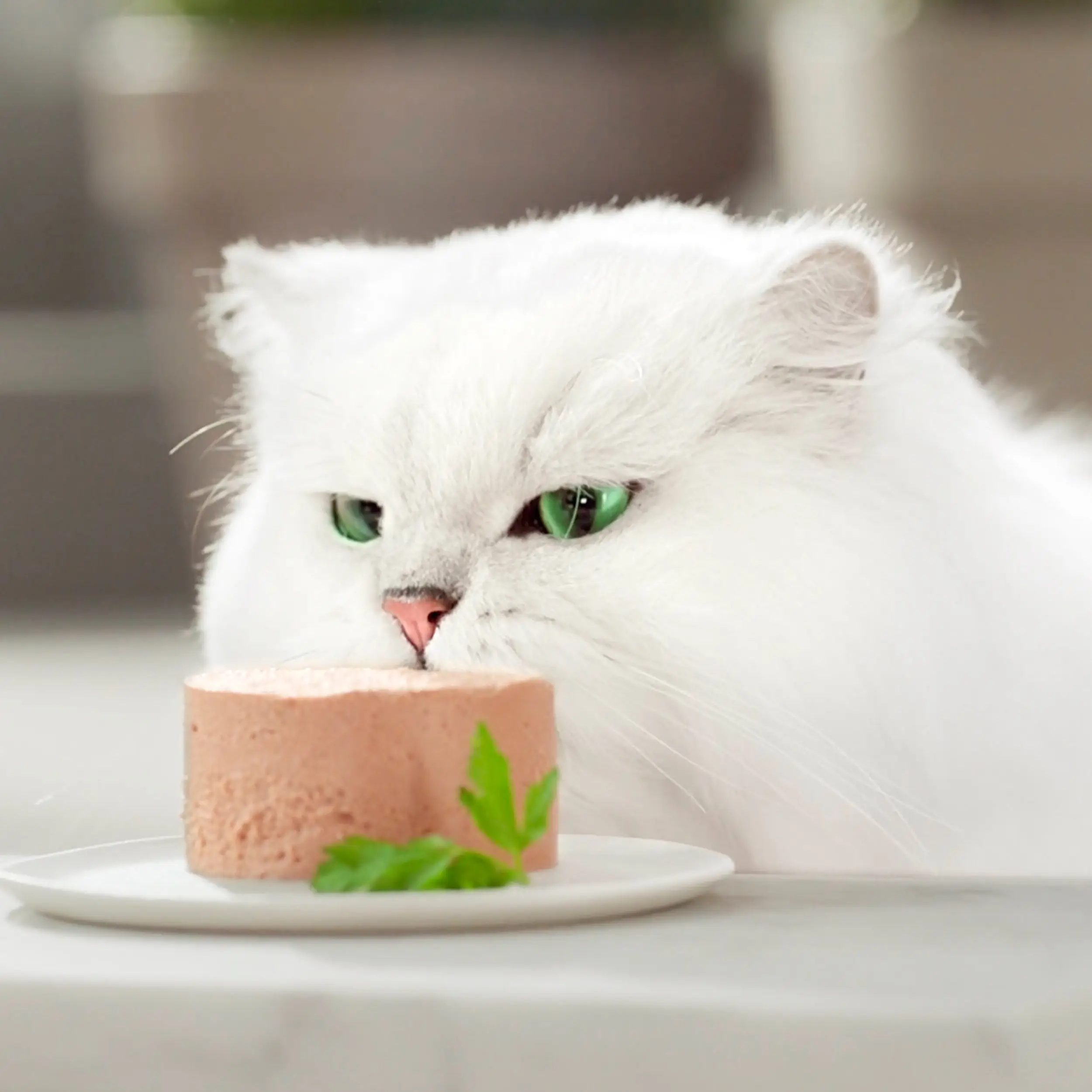 Gourmet Gold Mousse Pato y Espinaca 85 g - Image 3