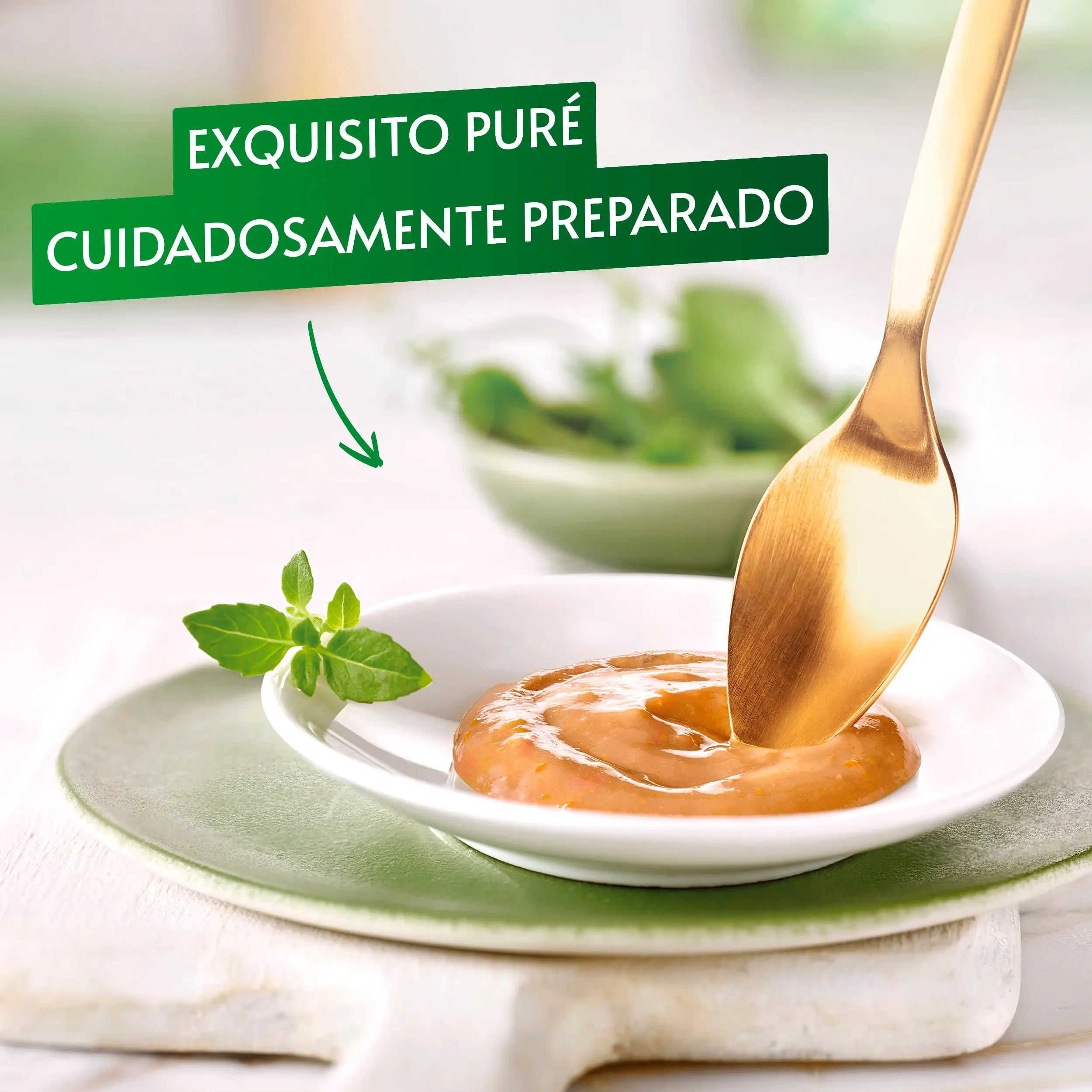 Gourmet Nature'S Creations Pure Pollo y Calabaza 5x10 g - Image 2